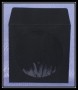 black paper sleeve